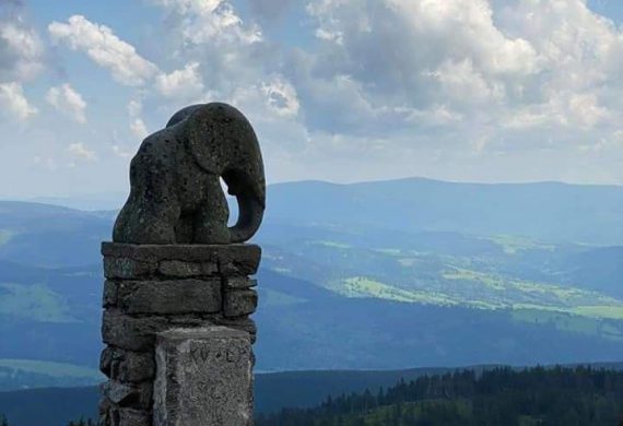 275237176_830331684471673_5215908667328485281_n